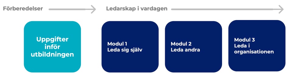 Ledarskap-1