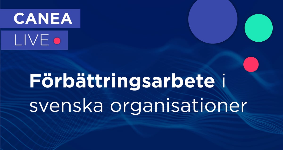 förbättringsarb. i sv. organisationer